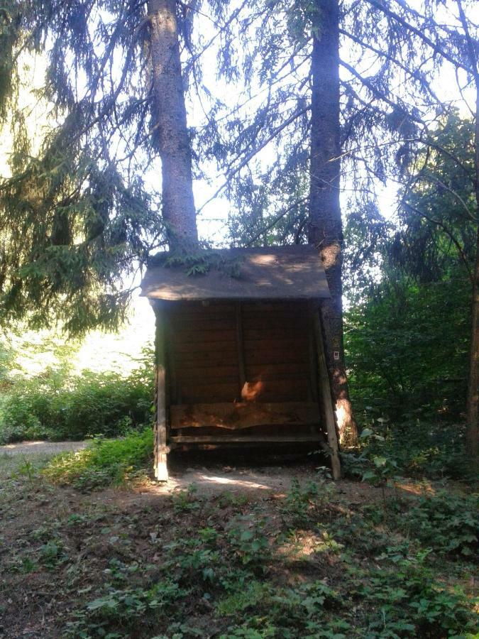 Fewo Am Neckarsteig Neckarsteinach Exterior foto
